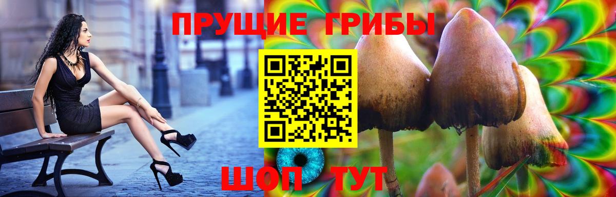 Галлюциногенные грибы GOLDEN TEACHER  Вход с VPN  цены   Галлюциногенные грибы GOLDEN TEACHER  Майский 